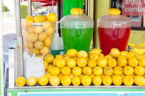 Books on How to Start a Business: Because Even a Lemonade Stand Needs a Business Plan