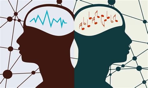 what is bass in music and how does it influence our emotions?